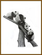 TJ046 - Panda Tree